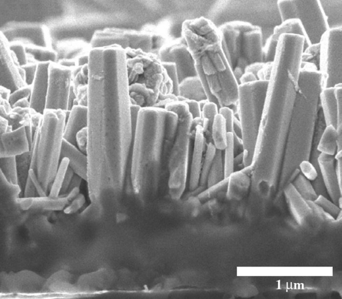Magnetoelektrische Nanostäbe Die Elektronenmikroskopaufnahme zeigt eine Ansammlung meist senkrechter, sechseckiger Säulen auf einer gemeinsamen Oberfläche. Die Säulen stehen dicht gedrängt, zeigen in leicht verschiedene Richtungen und variieren stark in Durchmesser und Länge, wie Halme auf einer dicht begrasten Wiese.