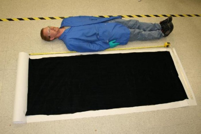 Teppich aus Nanoröhrchen Teppich aus Nanoröhrchen