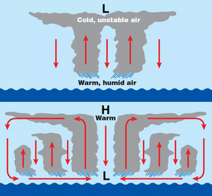 Schematische Darstellung der Entstehung eines Wirbelsturms: Aufsteigende feuchtwarme Luft über dem Ozean bildet Gewitterwolken, die sich durch nachströmende Luft zu einem rotierenden System zusammenschließen.