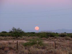 Fotografie des Mondes in der Dämmerung. Der große, rötliche Mond steht dicht über dem Horizont, darunter sind Berge und eine Landschaft mit Sträuchern und Bäumen zu sehen.