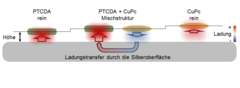 Ein Balken, der die Metalloberfläche darstellt. Oberhalb dieses Balkens am linken Rand ein längliches Rechteck für das PTCDA-Molekül, am rechten Rand ein längliches Oval für das CuPc-Molekül. Dazwischen eine Mischstruktur aus beiden Molekülen. Die Höhe dieser Objekte über der Metalloberflähe nimmt von links nach rechts zu. Der Ladungstransfer vom CuPc durch die Metalloberfläche hin zum PTCDA ist mit einem Pfeil markiert.