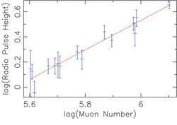Doppeltlogarithmische Auftragung der Radiopulsamplitude gegen die Myonenzahl. Zahlreiche Messpunkte sind eingezeichnet, die im Fehlerrahmen auf einer Ausgleichsgeraden liegen.