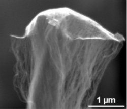 Drachenschnüre im Nanomaßstab