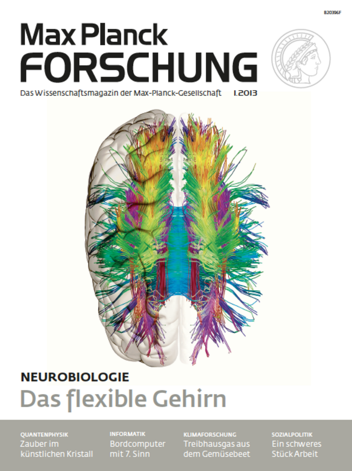 Titelbild der ersten Ausgabe 2013