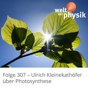 Folge 307 – Photosynthese