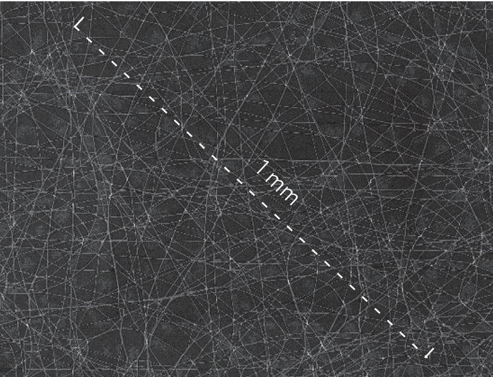Dichtes Netzwerk aus sehr feinen weißen Linien auf dunklem Grund, ein Maßstab zeigt an, dass das gesamte Bild eine Länge von einem Millimeter in der Diagonalen zeigt.