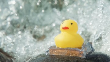 Eine gelbe Ente klebt auf einem Stein, im Hintergrund fließendes Wasser
