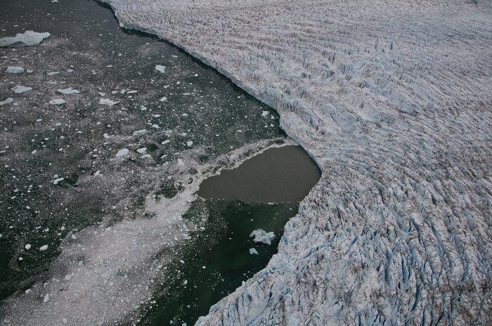 Tauwasser Foto. Blick aus der Luft auf einen Gletscher, der ans Meer grenzt. An einer Stelle ist das Meer braun gefärbt. Das ist das Schmelzwasser, das aus dem Gletscher ins Meer strömt.