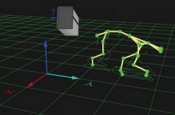 Bewegung eines dreibeinigen Hundes Bewegung eines dreibeinigen Hundes