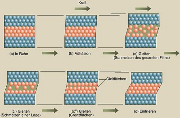 Grafische Darstellung von verschiebenen Arten, wie Reibung auf mikroskopischer Ebene ablaufen kann: a. Drei Materialschichten aus nebeneinander aufgereihten Atomen (kleinen Kugeln) liegen in Ruhe aufeinander, sodass zwischen den Kugeln keine Lücke ist.
b. Adhäsion: Eine Kraft wirkt von links nach rechts auf die obere Schicht.
c. Gleiten: Der mittlere Film schmilzt, seine Kugeln geraten durcheinander, die obere Schicht gleitet nach rechts.
c Strich. Gleiten: Nur eine Lage in der Mitte des mittleren Films schmilzt, die obere Schicht gleitet nach rechts.
c Doppelstrich. Gleiten: Die Grenzflächen zwischen den verschiedenen Schichten haften nicht mehr, die obere Schicht gleitet nach rechts, obwohl die Struktur aller Schichten unverändert bleibt.
d. Einfrieren: Die drei Schichten liegen wieder unbeweglich übereinander, allerdings ist die obere nach rechts verschoben. </P></p>