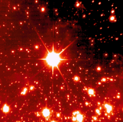 Auf schwarz-rotem Hintergrund viele helle Flecken unterschiedlicher Größe.