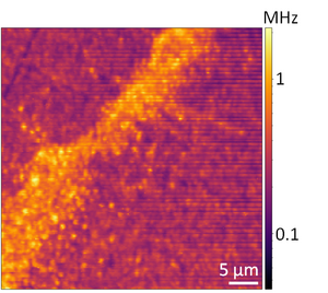 Mikroskopaufnahme: Auf einer violetten Fläche zeichnen gelbe Pixel eine wenige Mikrometer große Fläche