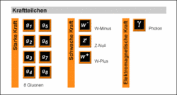 Zu jeder der drei Kräfte gibt es mehr oder weniger viele Kraftteilchen: Zur Starken Kraft existieren acht Gluonen, zur Schwachen Kraft existieren das W-Minus, das Z-Null und das W-Plus, zur elektromagnetischen Kraft existiert das Photon.