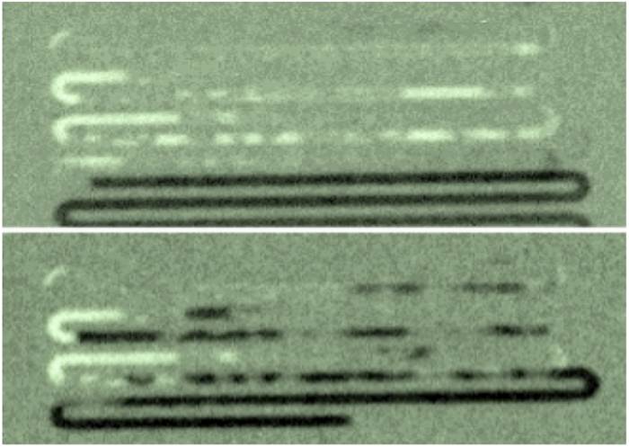 In der Aufnahme ist der zeitliche Verlauf der Wasserverteilung innerhalb einer solchen Brennstoffzelle zu sehen, der mithilfe von Neutronen zerstörungsfrei sichtbar gemacht werden kann. Die Aufnahme ist zweigeteilt; in der oberen Aufnahme befindet sich das Wasser vornehmlich im unteren Teil der Brennstoffzelle, während in der unteren Aufnahme das Wasser gleichmäßiger verteilt ist.