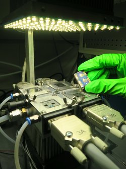Forscher hält Solarzelle in einer Hand mit Schutzhandschuh über eine Apparatur.
