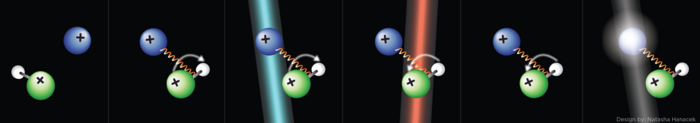 Atom und Molekül in einer Ionenfalle