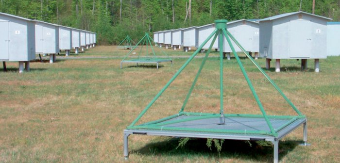 LOPES-Radioantennen zwischen KASCADE-Grande Drei grüne Metallgerüste, die Radioantennen, zwischen zahlreichen kleinen grauen Hütten, die jeweils auf vier Stelzen stehen.