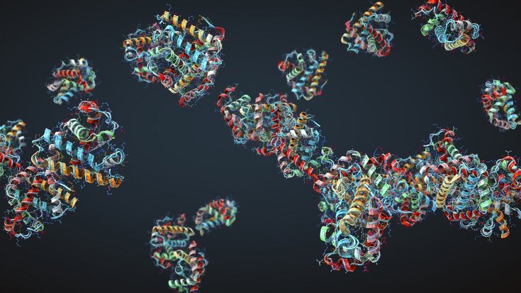 Räumliche Struktur von Proteinen | Bildquelle: Christoph Burgstedt/iStock Bunte 3D-Darstellung von Proteinen auf dunkelblauem Hintergrund. Viele gebogene, spiralige Bänder in Rot, Gelb, Grün und Blau schweben verteilt im Raum. Die Strukturen wirken komplex, verschlungen und punktuell verbunden.