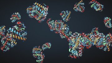 Bunte 3D-Darstellung von Proteinen auf dunkelblauem Hintergrund. Viele gebogene, spiralige Bänder in Rot, Gelb, Grün und Blau schweben verteilt im Raum. Die Strukturen wirken komplex, verschlungen und punktuell verbunden.