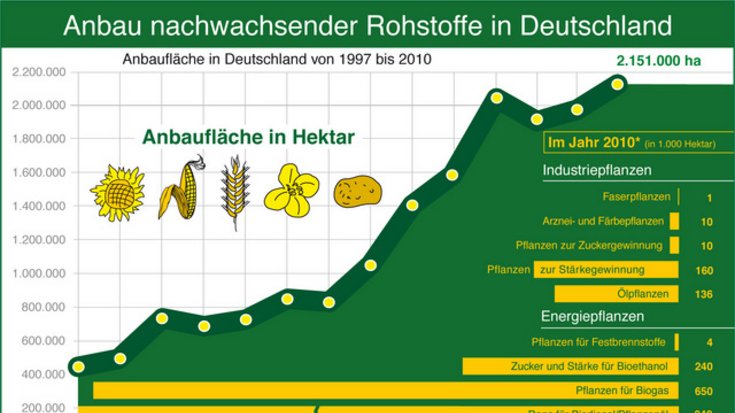 Anbau Biokraftstoff