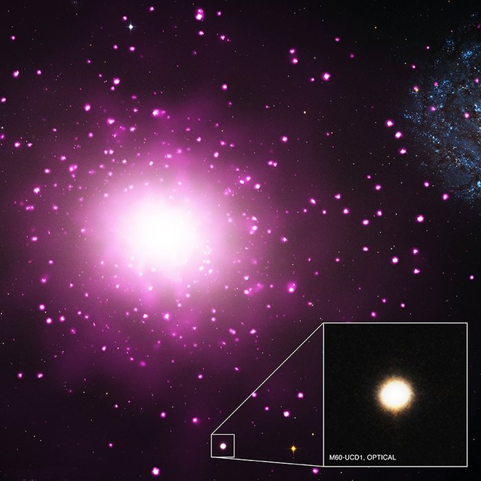 Die extrem kompakte Zwerggalaxie M60-UCD1 Die elliptische Galaxie ist ein großer, etwas verwaschener heller Fleck, umgeben von vielen hellen Punkten. Einer dieser hellen Punkte zeigt sich vergrößert wieder als leicht verwaschenes Objekt.