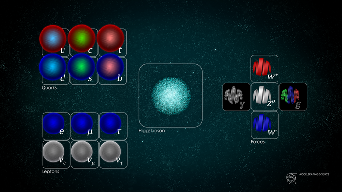 Auf der Grafik sind künstlerische Darstellungen der Elementarteilchen des Standardmodells zu sehen: links oben drei rote und drei blaue Kugel, die als Quarks bezeichnet werden; links unten drei blaue und drei graue Kugeln, die als Leptonen bezeichnet werden. In der Mitte sieht man eine große Kugel, die aus vielen kleinen Punkten zusammengesetzt ist - das Higgs-Boson. Rechts sind fünf kugelartige Schleifen in verschiedenen Farben - die Austauschteilchen