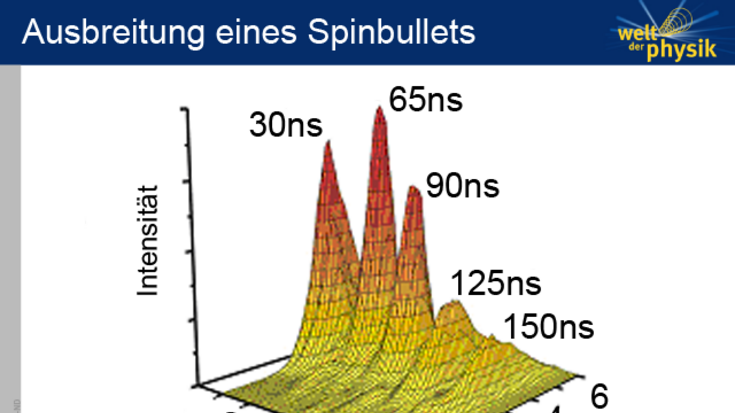 Spinwellensoliton