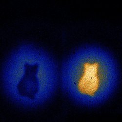 Auf dieser Aufnahme ist der Umriss einer Katzenfigur zweimal zu erkennen. Die Katze steht für Schrödingers berühmtes Paradoxon einer gleichzeitig toten und lebendigen Katze. Diese Abbildung einer Katzenfigur entstand ohne das Licht des Urbilds. 