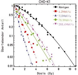 Grafik diverser Punktmesswerte und der passenden Durchschnittslinie, Titel "CHO-K1", jeweils "Überlebender Anteil" (logarithmisch 0,01 bis 1) aufgetragen gegen "Dosis" in Gy (0 bis 11). Alle Messwertkurven beginnen oben links bei 1, fallen dann unterschiedlich steil ab, von links nach rechts: blau für 11,0 MeV/u (trifft 0,01 bei ca. 3,3 Gy), rot für 4,2 MeV/u, grün für 76,9 MeV/u, violett für 266,4 MeV/u, schwarz für Röntgen (trifft 0,01 bei ca. 11 Gy).