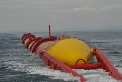 Die Wasserschlange Pelamis schwimmt auf der Meeresoberfläche, die Zylinder sind über bewegliche Gelenke miteinander verbunden und können so mit den Wellen auf- und absteigen.