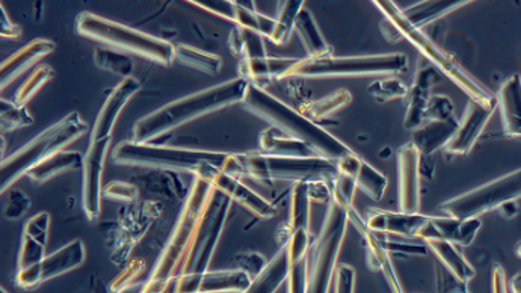 Mikrofasern aus Seide