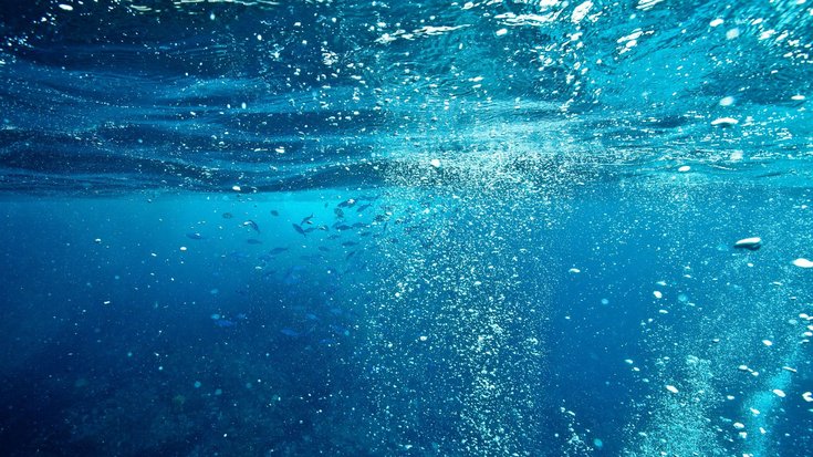 Unterwasseraufnahme mit Luftblasen und ein Schwarm kleiner Fische im Meer