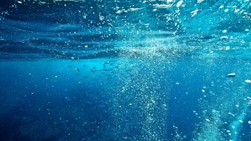 Unterwasseraufnahme mit Luftblasen und ein Schwarm kleiner Fische im Meer