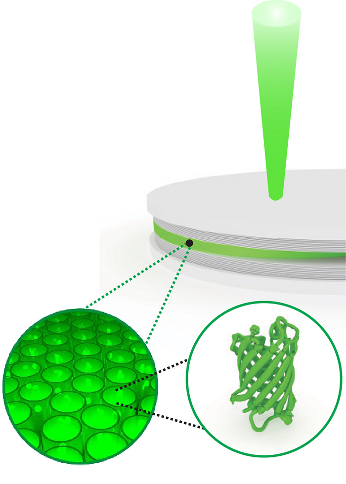 Schematische Darstellung eines Protein-Polariton-Lasers Schematische Darstellung eines Protein-Polariton-Lasers
