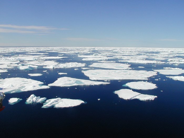 Eisschollen in der Arktis Foto. Eisschollen, die auf dem Meer treiben.