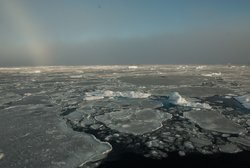 Eisschollen im Meer 