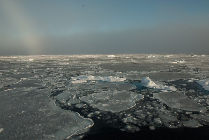 Eis in der Beaufortsee Eisschollen im Meer