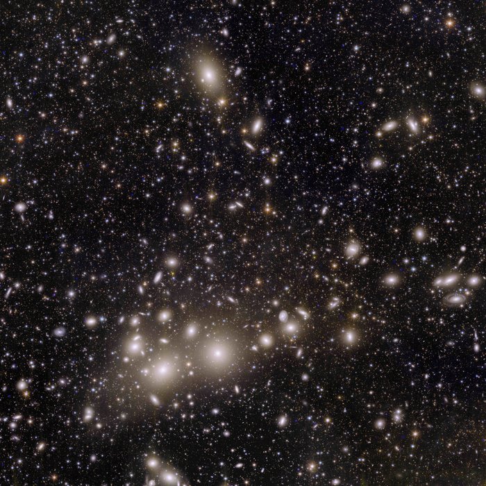 Aufnahme des Perseus-Clusters mit Euclid Zahllose helle verschwommene Flecken vor schwarzem Hintergrund.
