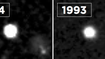 Schwarz-Weiß-Aufnahme der Supernova und ihrer Galaxie: 1954 (links) leuchtet die Supernova hell auf und 1993 (rechts) ist sie nicht zu sehen.