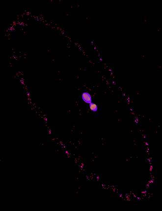 Grafik: In der Mitte zwei runde Gebilde, die jeweils von einer Sphäre umgeben sind; an einer Stelle verschmelzen die Sphären miteinander. Die beiden runden Formen sind umgeben von einem Kreis aus Punkten vor dunklem Hintergrund.