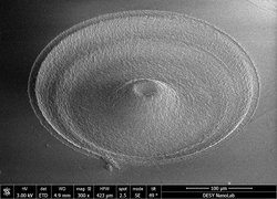 Schwarz-weiße Mikroskopaufnahme mit vulkartigem Kegel in der Mitte