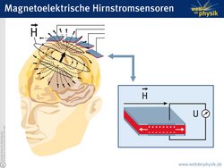 Die Grafik trägt den Titel "Magnetoelektrische Hirnstromsensoren". Sie zeigt links einen Kopf, in dem das Gehirn als Schichtmodell sichtbar wird. Mit Pfeilchen sind Magnetfeldlinien eingezeichnet, wobei das Magnetfeld nach rechts oben aus dem Kopf heraus weist. Dort sind schematisch viereckige Plättchen angebracht. Diese Plättchen sind rechts neben dem Kopf vergrößert dargestellt. Sie bestehen aus einer waagrechten Schicht. In ihr stellen kleine Pluszeichen am oberen Rand positive Ladungen und Minuszeichen unten negative Ladungen dar. Diese Ladungstrennung wird durch ein waagrechtes Magnetfeld hervorgerufen, das durch einen von links nach rechts weisenden Pfeil dargestellt wird. Von Ober- zu Unterseite des Plättchens laufen Leitungen zu einem Spannungsmessgerät.