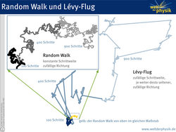 Brownsche Bewegung und Lévy-Flug