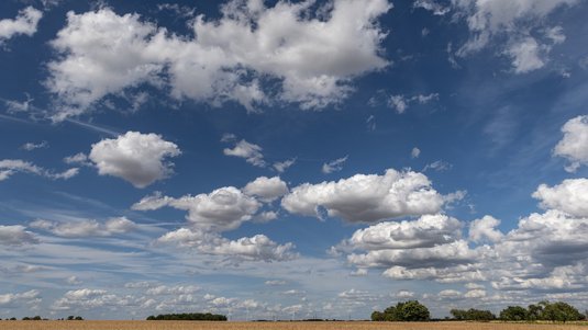 Weite Landschaft unter tiefblauem Himmel. Viele große, weiße Wolken schweben über einem goldgelben Feld. Am Horizont stehen einzelne Bäume und Windräder. Die Szene wirkt offen, ruhig und sommerlich.
