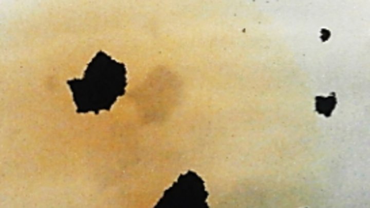 Mikroskopaufnahme der flüssigen Murmeln mit einer dünnen Hülle aus Ruß