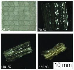 Vier Bilder, die verschiedene Stadien der Verformung eines Flüssigkristall-Gummis zeigen.