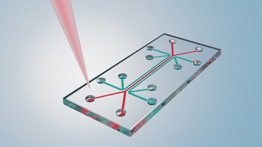 Quadratischer Chip, in den mehrere Kanäle eingelassen sind.