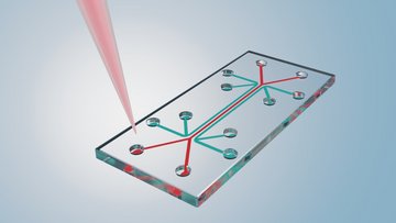 Quadratischer Chip, in den mehrere Kanäle eingelassen sind.