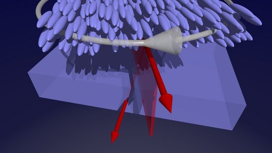 Grafik: Mehrere ovale Stäbchen übereinander drängen in eine Richtung, die mit einem roten Pfeil angezeigt wird. Eine grau angedeutete Schlinge deutet eine Drehung an 