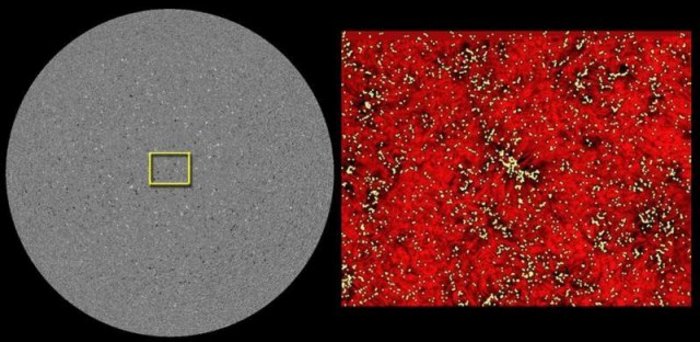 Untersuchte Sonnenoberfläche im Aktivitätsminimum November 2007 und Darstellung der beobachteten magnetischen Strukturen